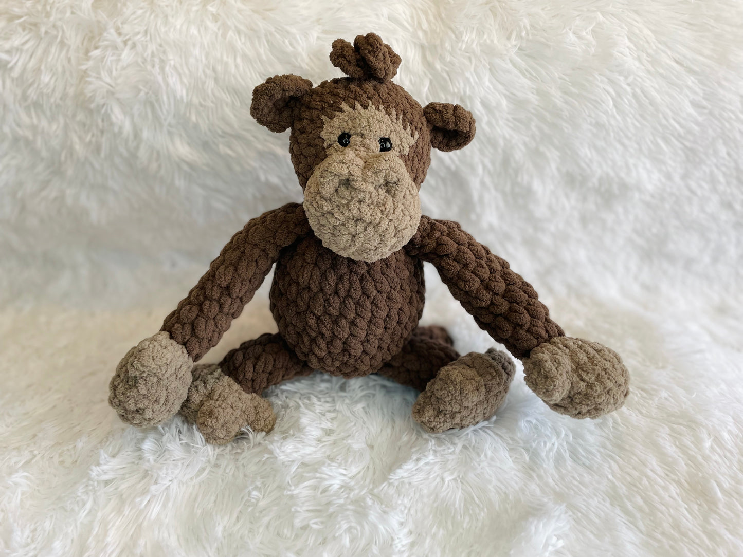 Chimp