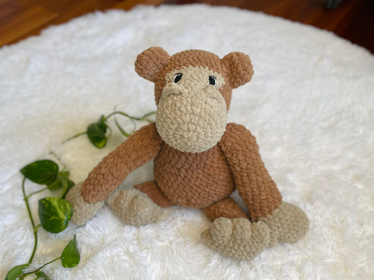 Chimp